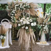 Buyukada Etkinlik Mekanlari 1