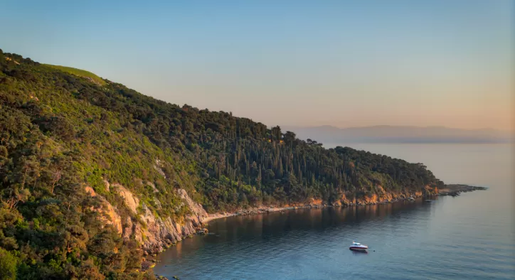 Büyükada’nın Neyi Meşhur Yemek Gezilecek Yerler ve Hediyelikler